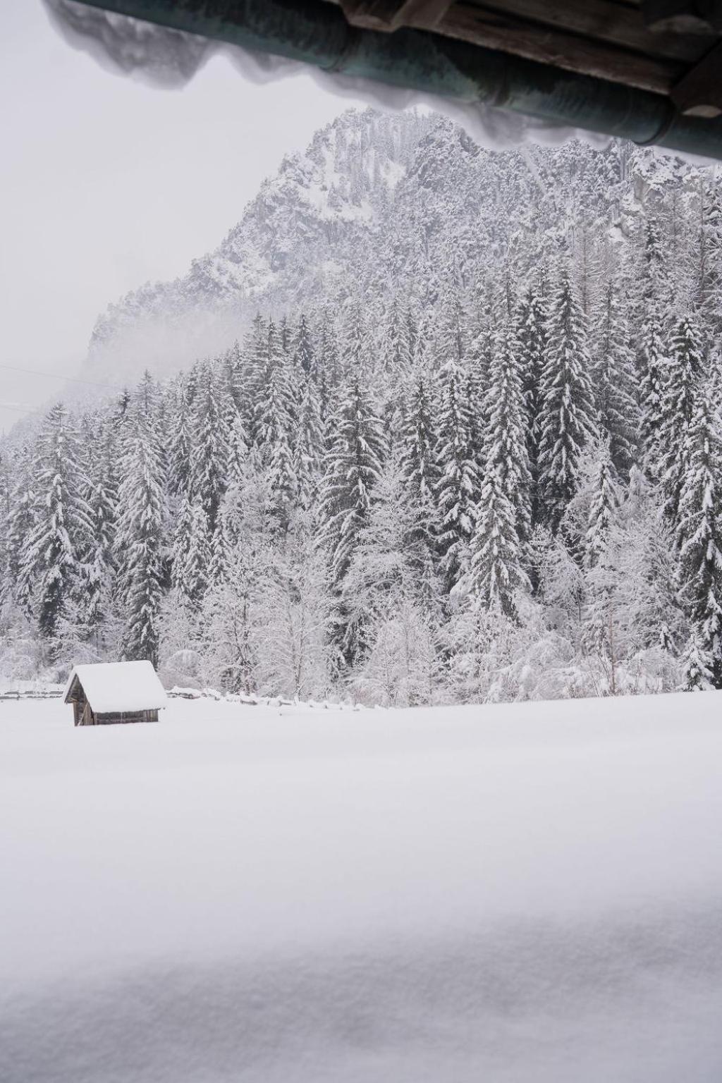 Fruehstueckspension Auer - Haus Kargl Шладминг Экстерьер фото